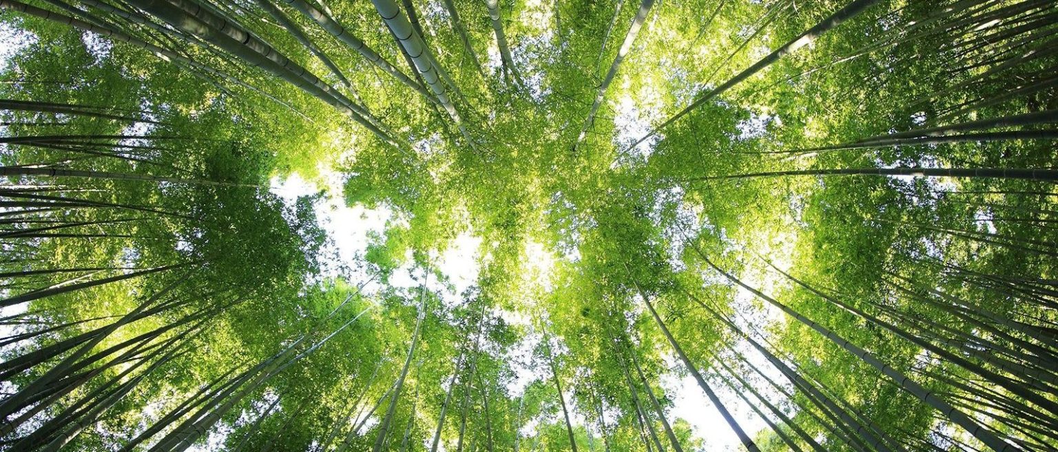 Home Antenna Company